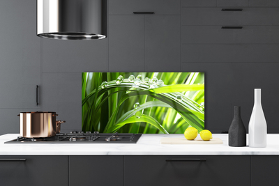 Panel Szklany Trawa Woda Krople Natura