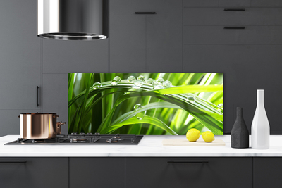Panel Szklany Trawa Woda Krople Natura
